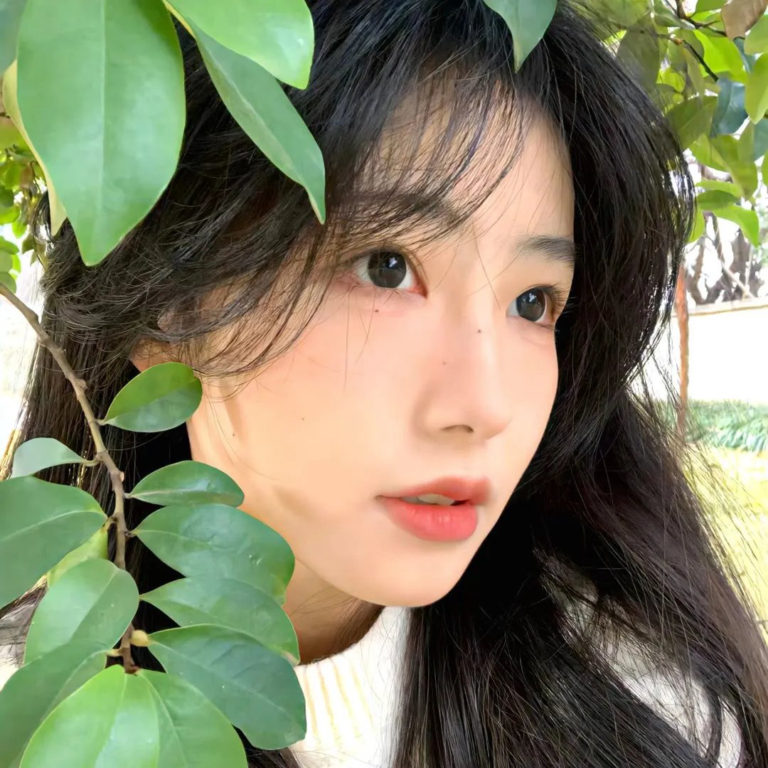致亲爱的孤独者